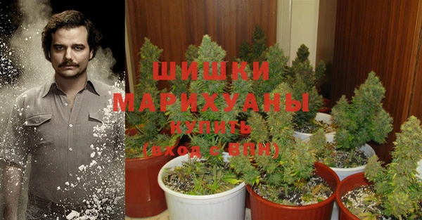 дурь Вяземский