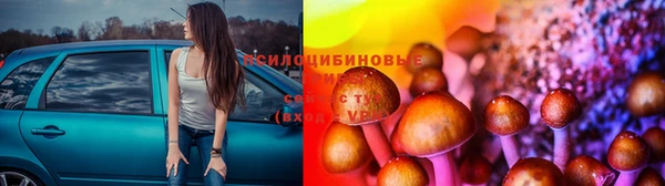 МДПВ Вязьма