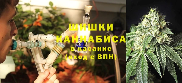 дурь Вяземский