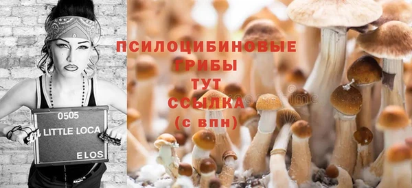 МДПВ Вязьма